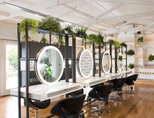 9 Air-purifying plants for your salon